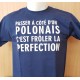 Tee-shirt "Passer à côté d'un Polonais c'est frôler..." Homme. - Taille S