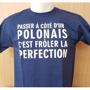 Tee-shirt "Passer à côté d'un Polonais cents frôler..." Homme - Taille XL
