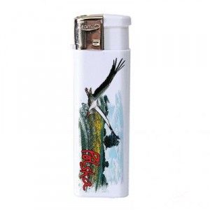 Briquet paysage Pologne